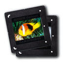 Kaiser Dias rammer 5x5 cm glasløs