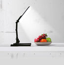 Kaiser LED Desktop Light