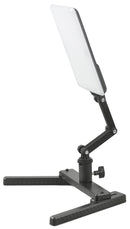 Kaiser LED Desktop Light