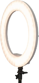 INTERFIT 46cm Ring Light Bi-Colour LED komplet med tilbehør