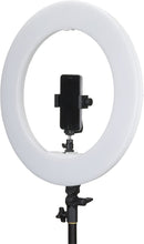 INTERFIT 46cm Ring Light Bi-Colour LED komplet med tilbehør