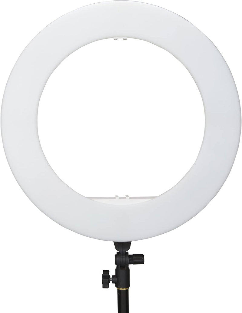 INTERFIT 46cm Ring Light Bi-Colour LED komplet med tilbehør