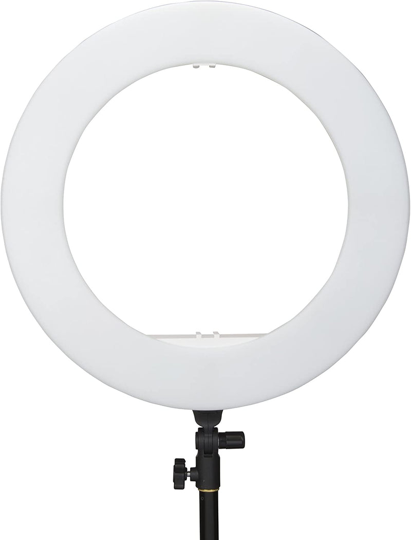 INTERFIT 46cm dagslys LED Ring Light komplet med tilbehør