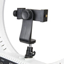 INTERFIT 46cm dagslys LED Ring Light komplet med tilbehør