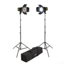 Interfit Badger Beam 60w 2 lamper med Gel Kit og stativer & taske